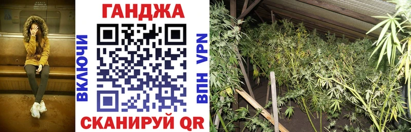 Купить где  Клинцы  Конопля марихуана 